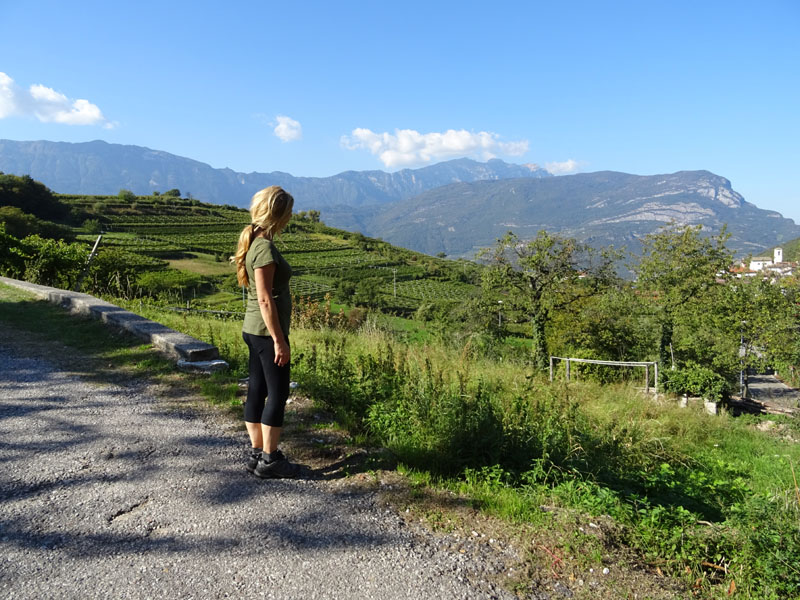 Giro del Monteghello -  sentiero F1 (Rovereto)